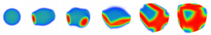 Evolution of the neutron density distribution with the density, for a fixed temperature and proton fraction. From left to right: droplets (gnocchi), rods (spaguetti), cross-rods, slabs (lasagna), tubes (penne), bubbles (swiss cheese). Each shape is shown at the correspondent onset density. Blue (red) color indicates the bottom (top) of the density scale.